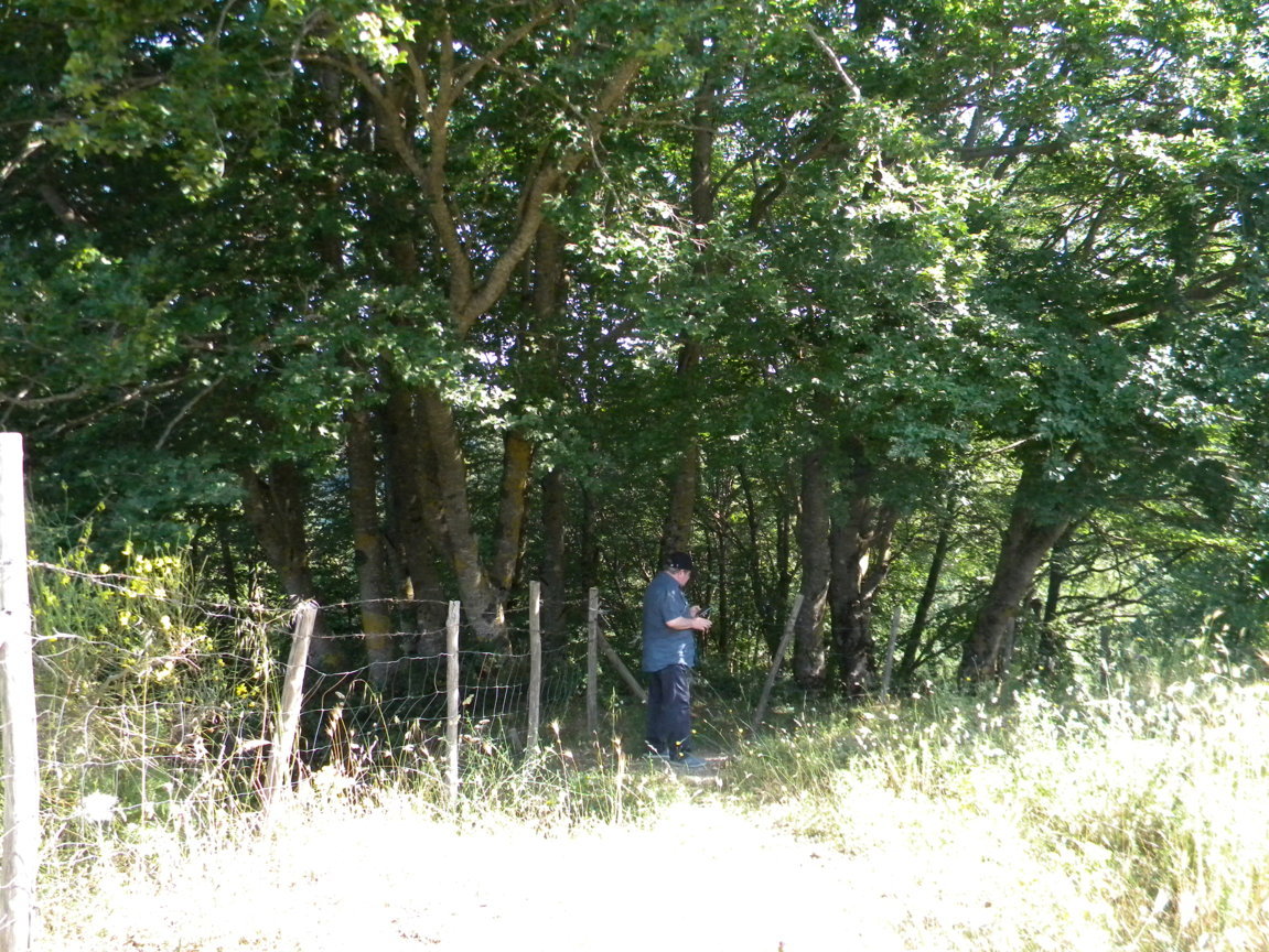 DSCN9555 .JPG